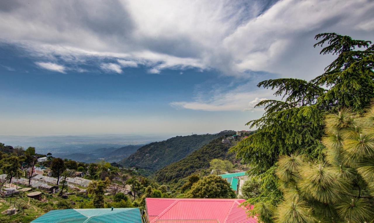Treebo Roshan House With Valley View McLeod Ganj Eksteriør bilde