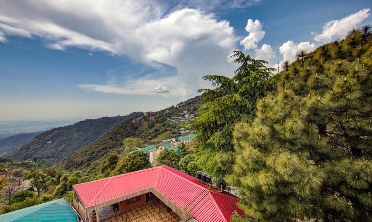 Treebo Roshan House With Valley View McLeod Ganj Eksteriør bilde